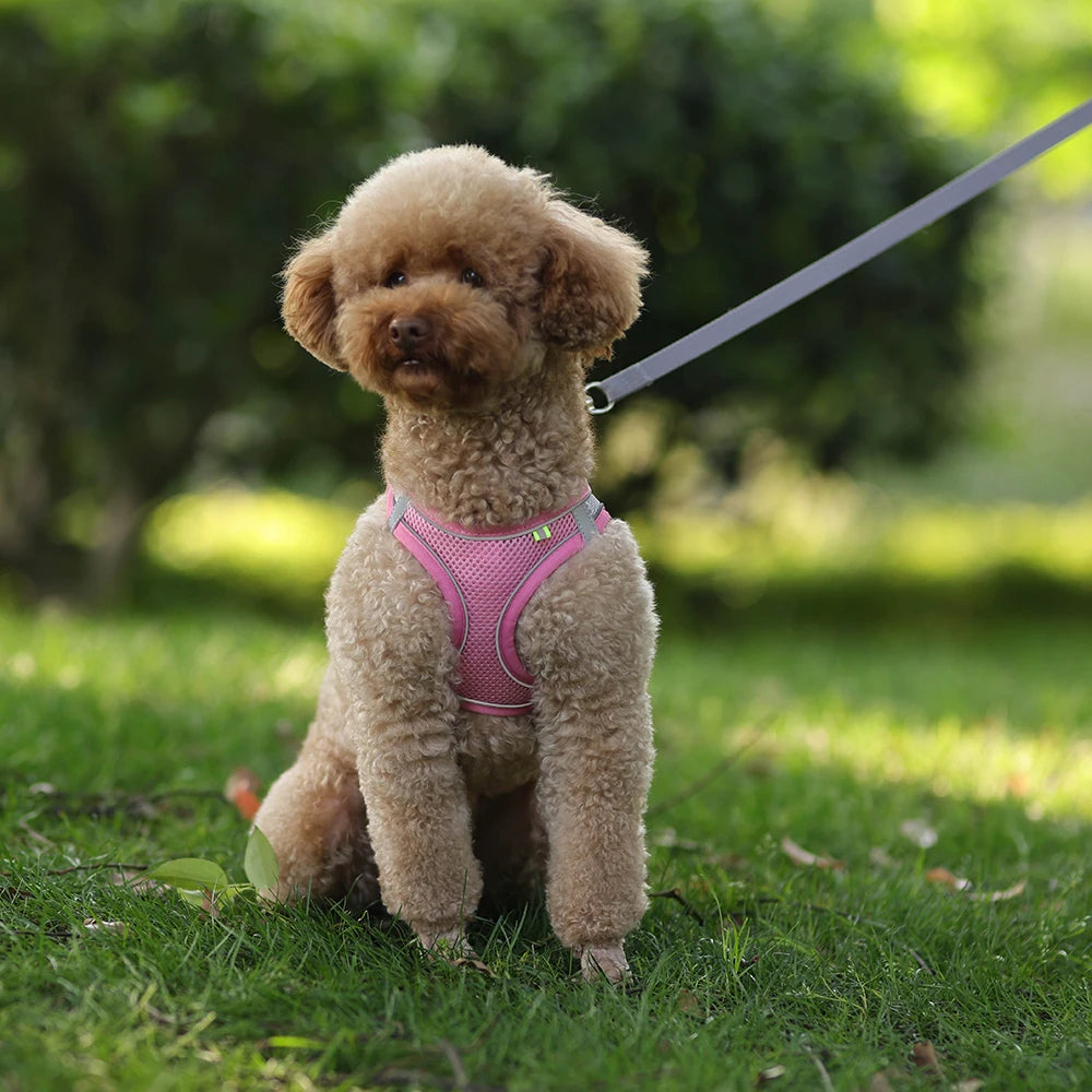 Puppy Cat Vest Harness with Leash Breathable Mesh Pet Chest Straps for Chihuahua York Harnesses Reflective Bulldog Walking Leash