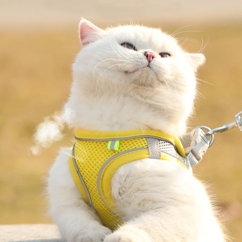 Puppy Cat Vest Harness with Leash Breathable Mesh Pet Chest Straps for Chihuahua York Harnesses Reflective Bulldog Walking Leash
