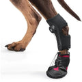 Dog Foot Brace Breathable Integrated Abrasion Proof Non Slip Sole Bottom Dog Boot Foot Protector for Outdoor
