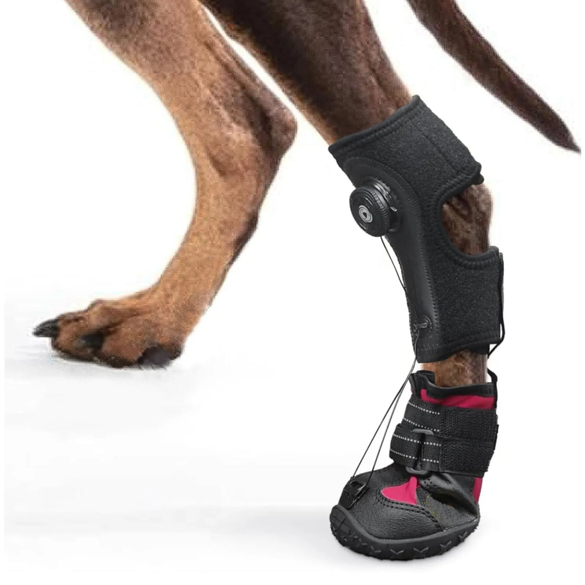 Dog Foot Brace Breathable Integrated Abrasion Proof Non Slip Sole Bottom Dog Boot Foot Protector for Outdoor