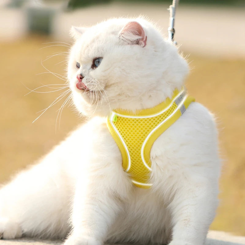 Puppy Cat Vest Harness with Leash Breathable Mesh Pet Chest Straps for Chihuahua York Harnesses Reflective Bulldog Walking Leash